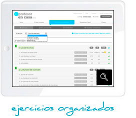 ejercicios organizados